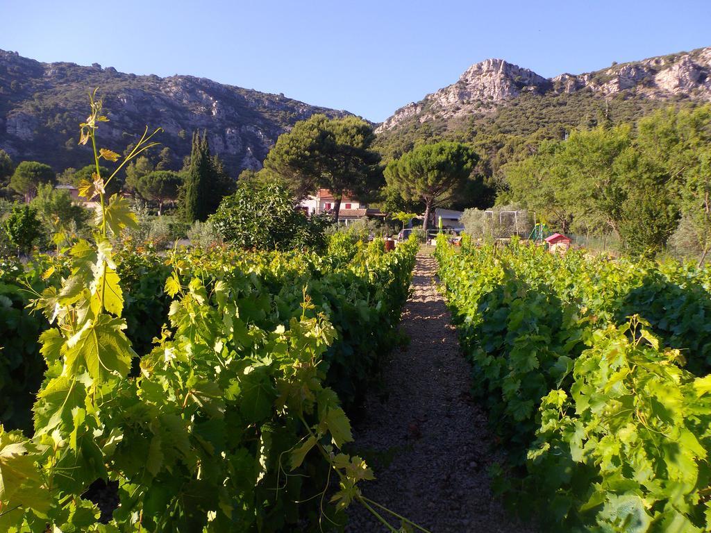 מלון Au Havre De Paix Sainte Victoire Vauvenargues מראה חיצוני תמונה