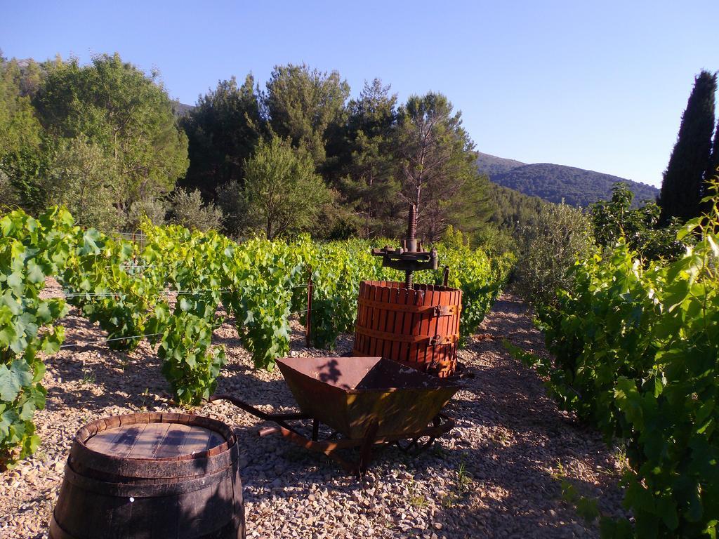 מלון Au Havre De Paix Sainte Victoire Vauvenargues מראה חיצוני תמונה